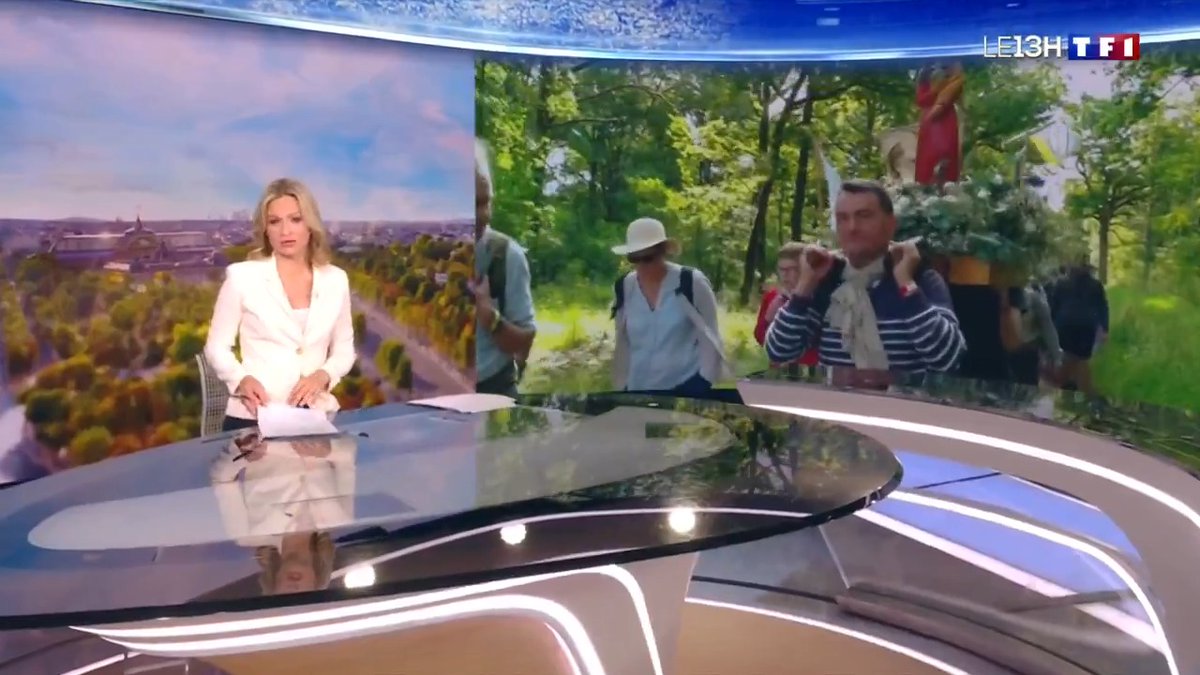 📺 Le pèlerinage de Chrétienté à l'honneur au JT de TF1 ! 20.000 pèlerins sur les routes de France pour le règne du Christ. #NDC2025