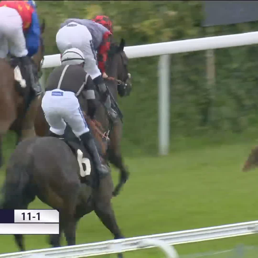 Good stuff from John Hunt at Goodwood Racecourse earlier 🤣