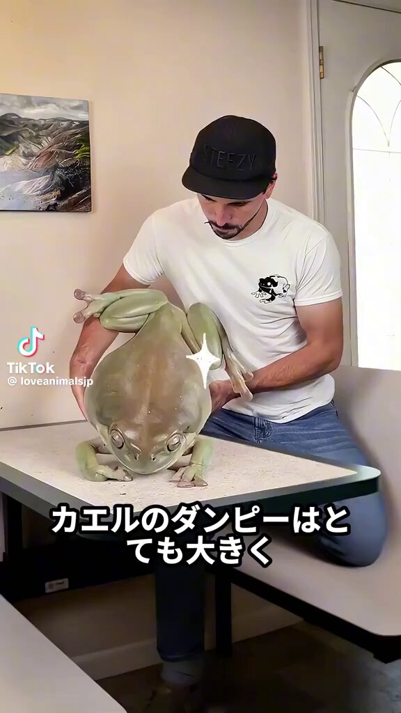 🍀😅🐸😅🍀 #カエルくん ✽+†+✽✽+†+✽
