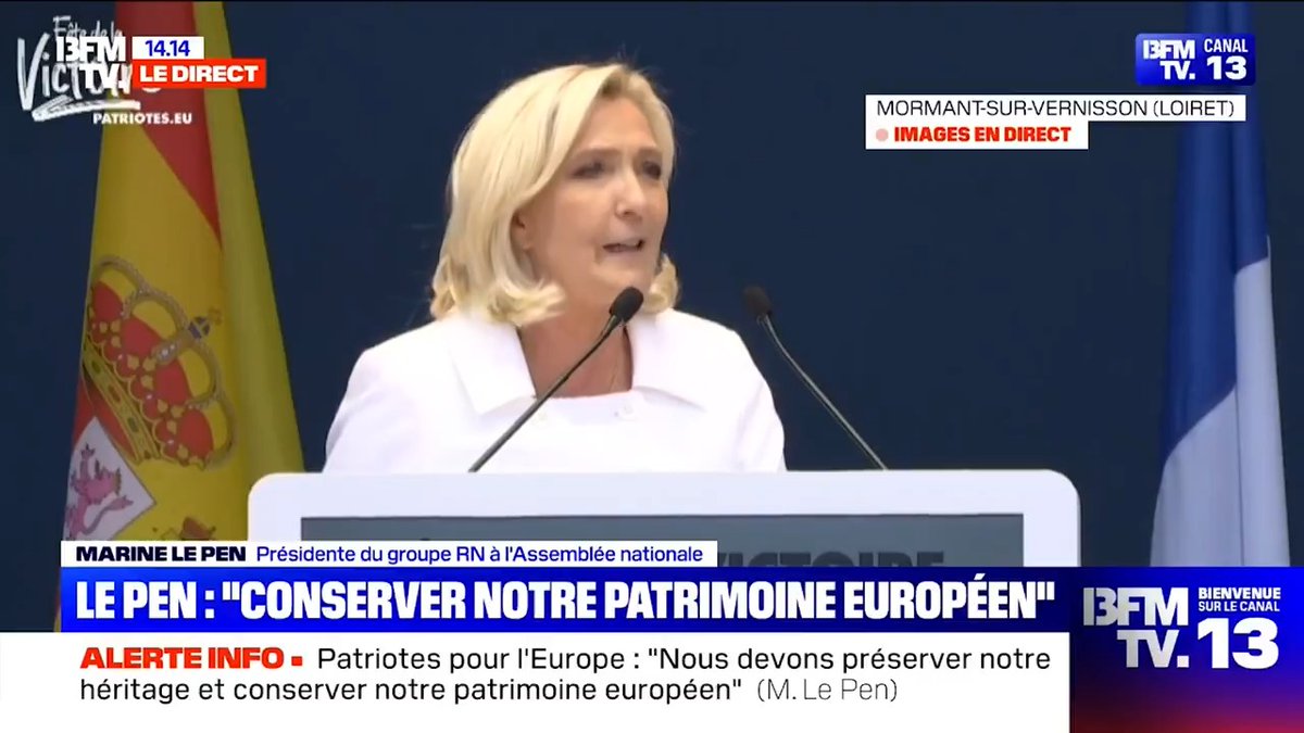 Notre groupe, celui des Patriotes pour l'Europe, est le troisième plus important du Parlement. Ce groupe est uni comme les doigts de la main, uni par des liens fraternels et par un grand projet politique pour nos patries et pour l'Europe.