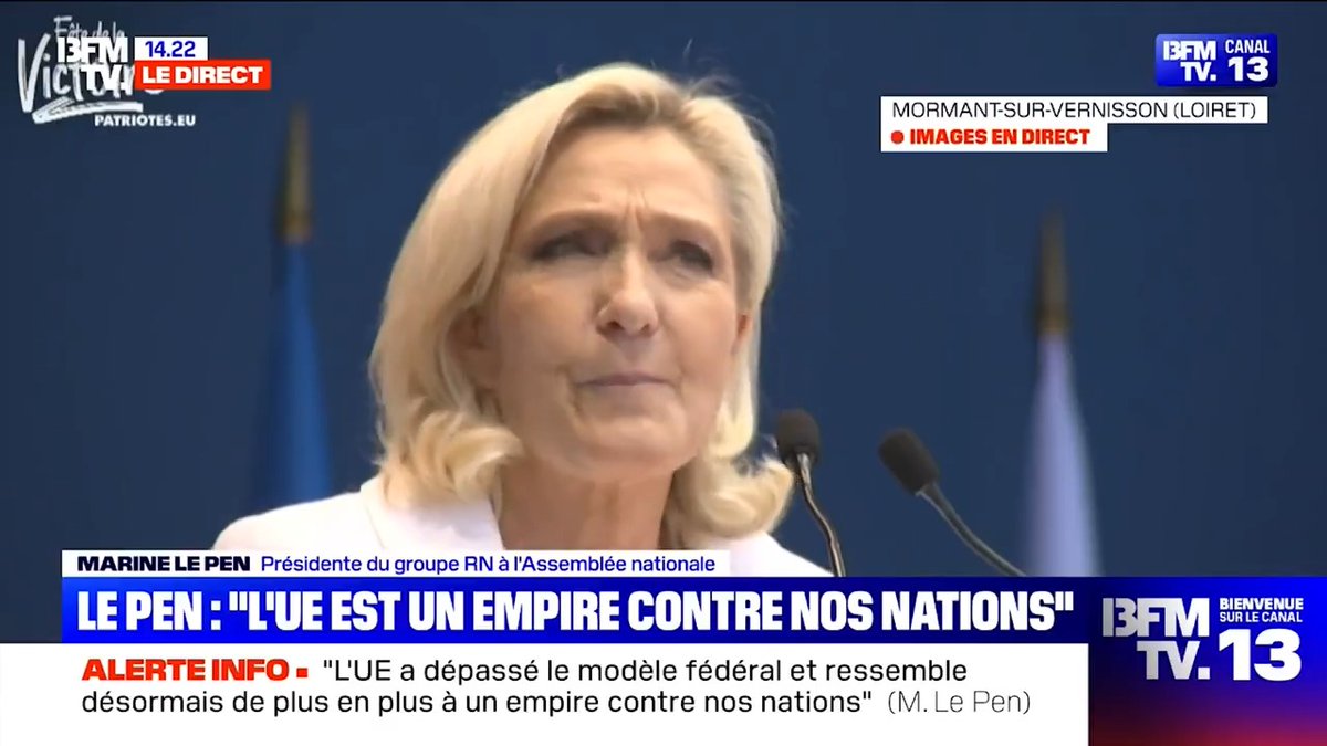 Dans cette Union européenne, toute affirmation identitaire devient une offense. Toute volonté de souveraineté, une hérésie. Toute idée de liberté est suspecte. Toute opposition est qualifiée de "subversion", criminalisée, judiciarisée.
