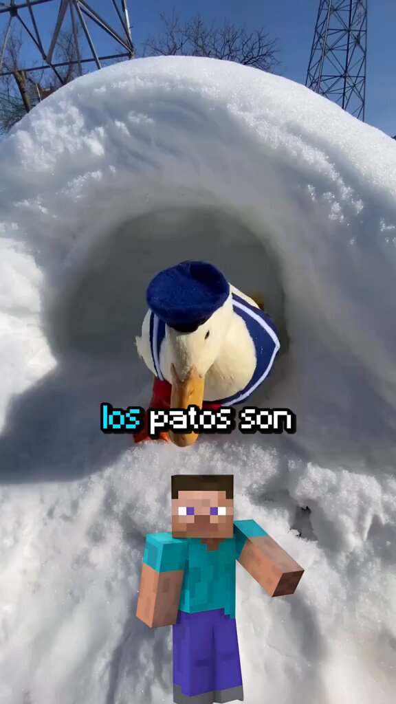 🟨 EL PINCHE PATO 🦆 🟨