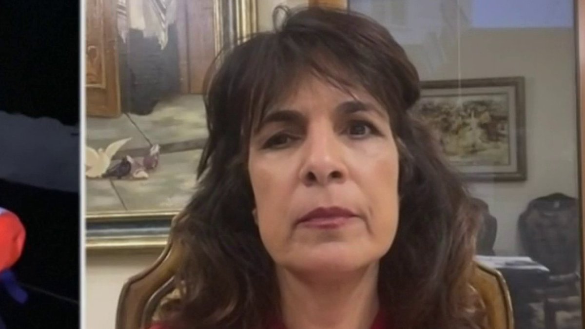 "Israël a mis un embargo légal selon le droit international sur les plages de Gaza. Cela a été entériné par une commission spéciale et par l'ONU. Tous les actes d'Israël sont parfaitement légaux" Nitsana Darshan-Leitner, avocate