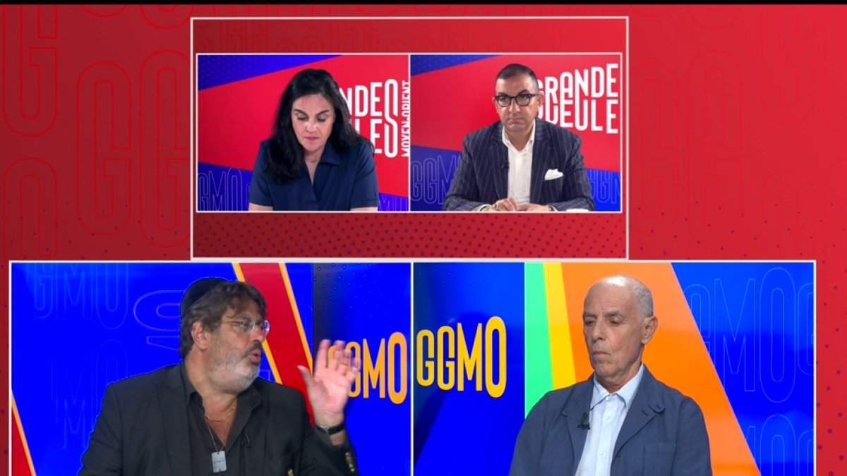 "Rima Hassan m'a gentiment invité à partager une pastèque avec eux dans le bateau, moi je vais bientôt lui amener des oranges en prison si jamais elle est emprisonnée" Meyer Habib (Meyer Habib) ancien député