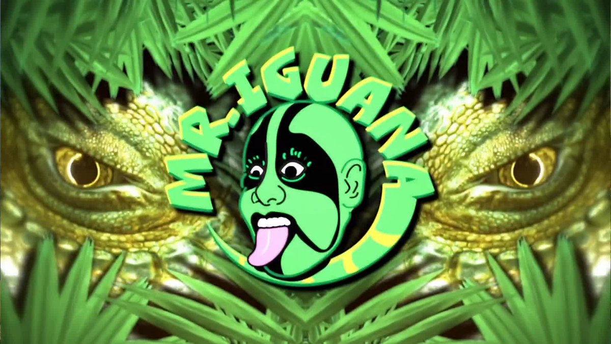 IGUANA CLUB 🦎 Mr. Iguana & La Yezca captivated all of us and we want more!