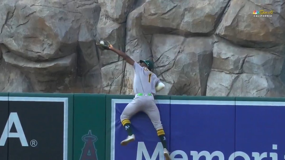 Catch of the year?! 😳