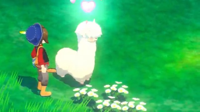 🐮#グラバザ どうぶつ紹介🐣 今日のどうぶつ紹介は アルパカさん #牧場物語