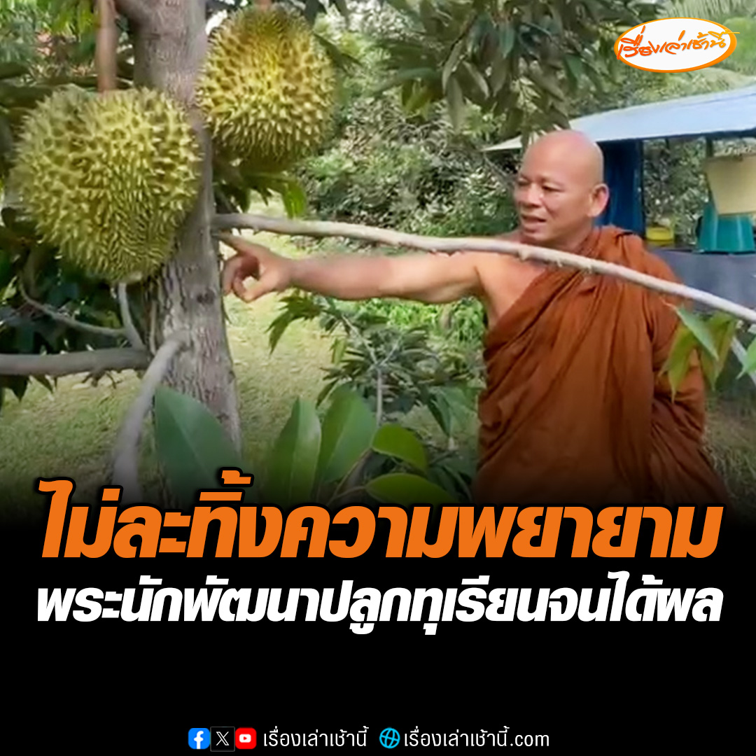 พระนักพัฒนา วัดป่าภูกระแต จ.มหาสารคาม ทดลองปลูกทุเรียนสารพัดวิธีจนได้ผลผลิต หวังเป็นตัวอย่างให้แก่ญาติโยม หากไม่ละทิ้งความพยายาม ทุกคนสามารถทำได้ #เรื่องเล่าเช้านี้ #ข่าวช่อง3 #ข่าวภูมิภาค #มหาสารคาม #ทุเรียน