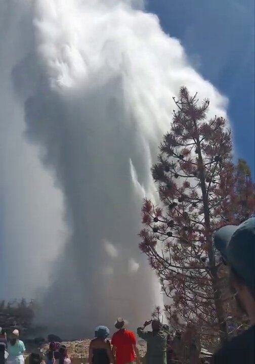 Tucked away in the Norris Geyser Basin (Yellowstone USA) 🇺🇸 is Steamboat Geyser, one of the world's tallest active geyser. Its major eruptions shoot water more than 300 feet (91 m). ♨️💧