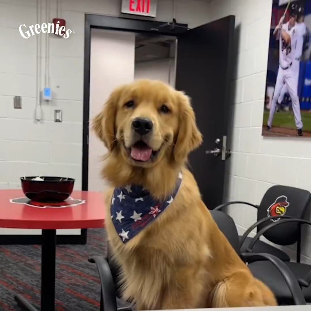 14/10 mlb call-up