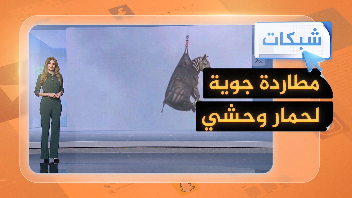 القبض على حمار وحشي هارب في أمريكا بعد مطاردة دامت أسبوعا #شبكات