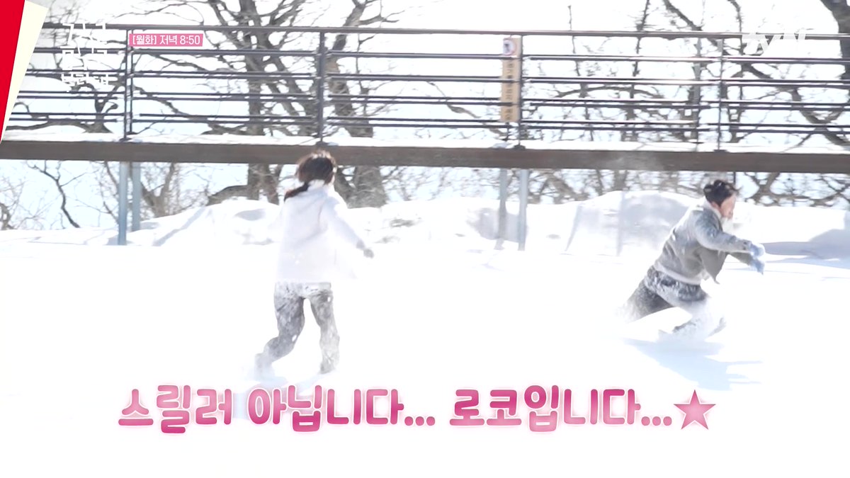더위 시원하게 날려주는 눈싸움 구경하세요~❄ #금주를부탁해 #최수영 #공명