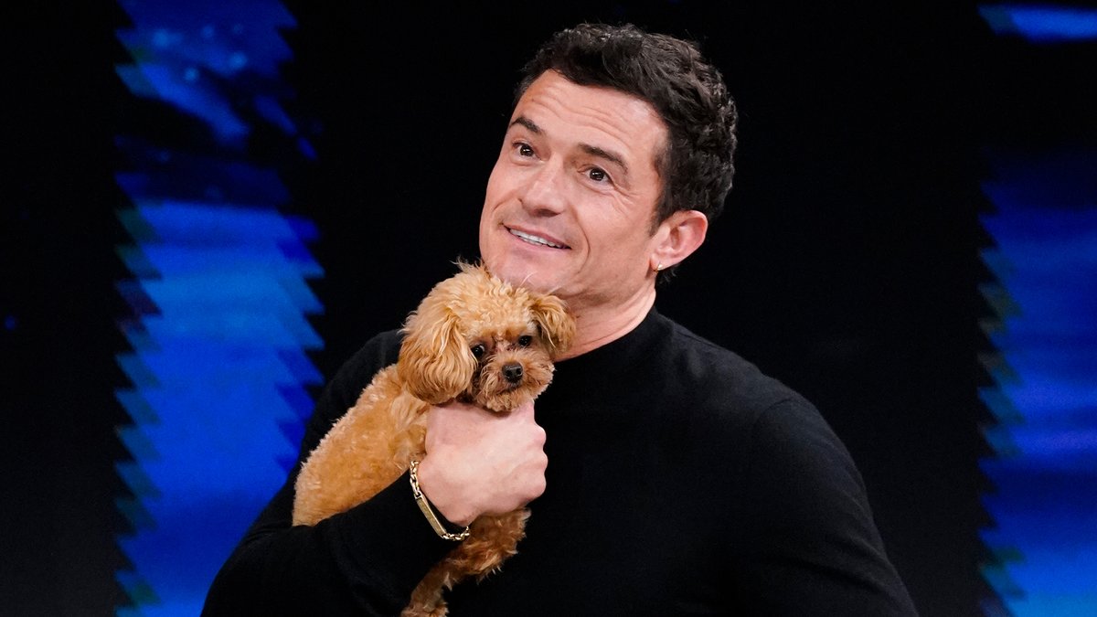 Orlando Bloom brings his teeny tiny puppy Biggie Smalls out 🥹 #FallonTonight