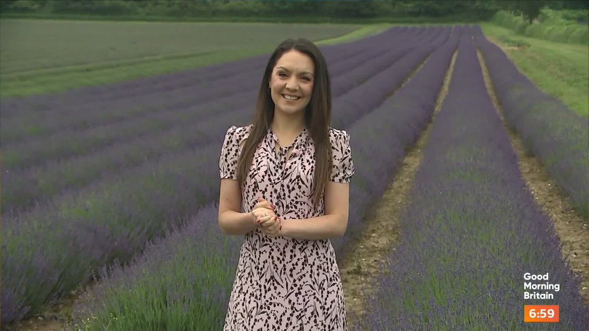 A heatwave may be heading our way! @lauratobin1 has the forecast for the week ahead.