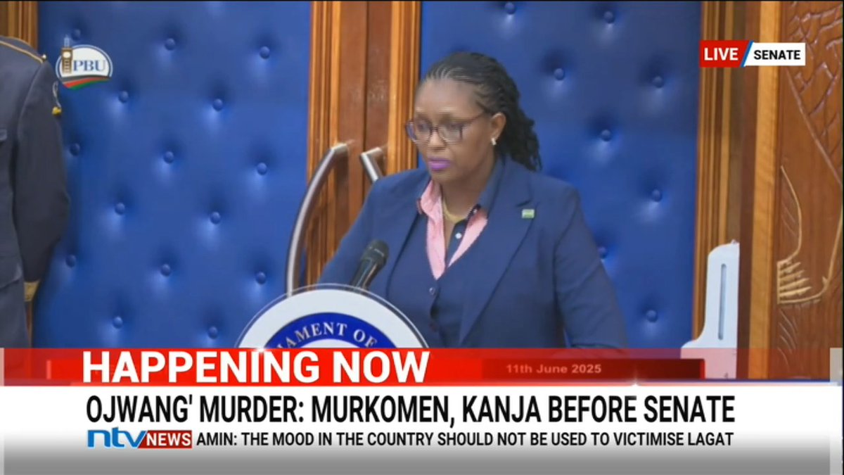 IPOA: Two witnesses have said they heard loud screams from Albert Ojwang's cell