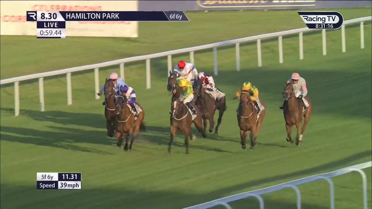 Keep your mind on the job! 🤣 Havana Rum tried to give Iris Dancer a bit of a nibble in the closing stages Hamilton Park. Did it cost the runner-up the race?