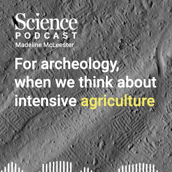 In the latest #SciencePodcast🎙️, a visit to Michigan’s Upper Peninsula, where researchers have found evidence that the Indigenous Menominee people cultivated maize for 600 years, even during an ice age. 🎧 Delve into the episode: