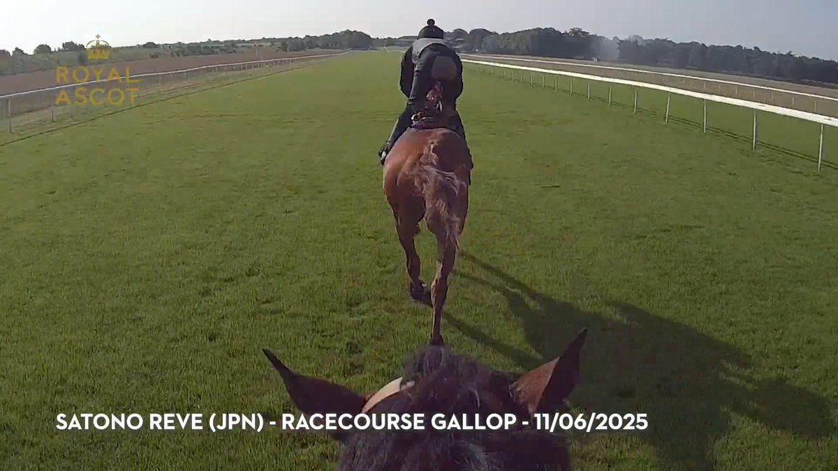 Ride on-board SATONO REVE as Ryan Moore puts the star Japanese sprinter through his paces at Newmarket ahead of the Queen Elizabeth II Jubilee Stakes at #RoyalAscot next Saturday #サトノレーヴ | #ロイヤルアスコット