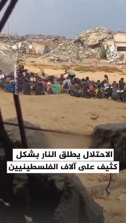الاحتلال يطلق النار بشكل كثيف على آلاف الفلسطينيين خلال محاولتهم الوصول إلى مركز توزيع المساعدات في #رفح جنوب قطاع #غزة #حرب_غزة