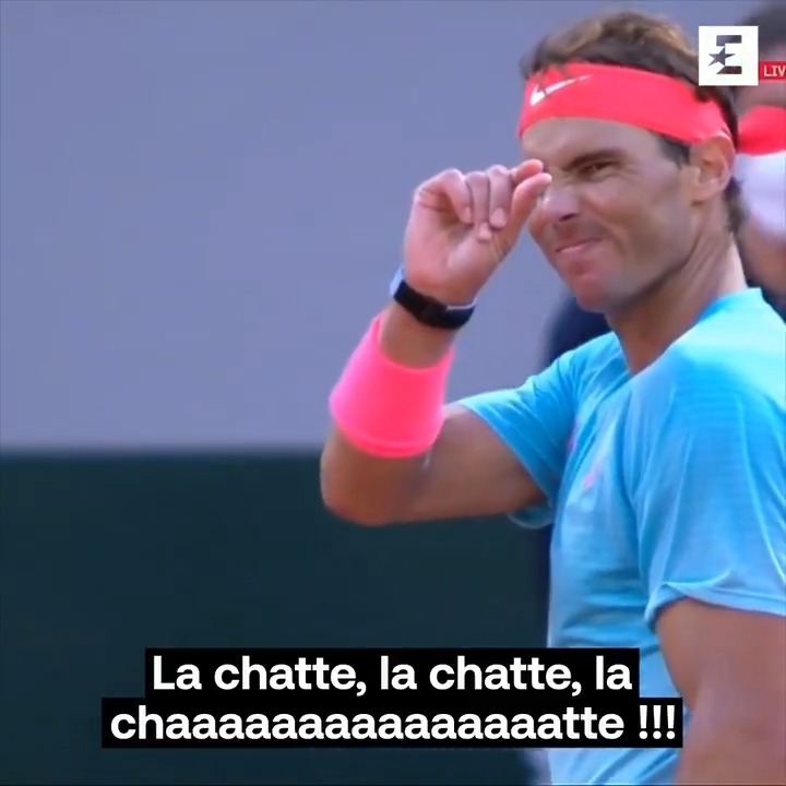 🇫🇷 "La chatte, la chatte, la chatte !" Ce classique de Roland Garros 2020. 🤣 Merci à ce spectateur 🤣
