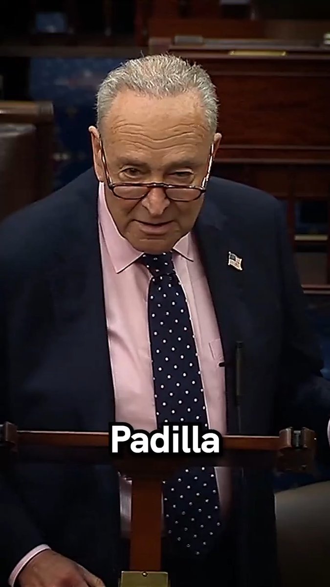 Senator Padilla was thrown on the ground and handcuffed, all because he was exercising his duty as a senator. We need a full investigation into what the hell happened, and what's going to be done to see that this doesn't happen again to Senator Padilla or any American citizen.
