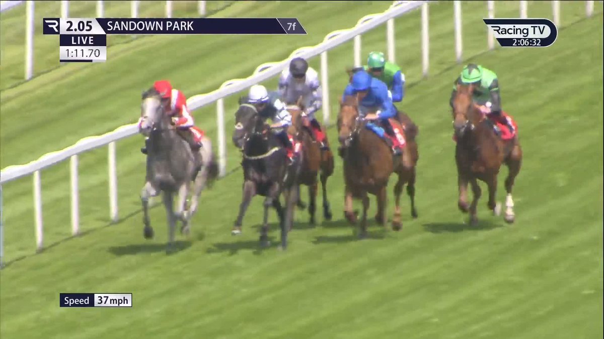 Now then ... 👀 Dubawi colt 𝐒𝐚𝐛𝐚 𝐃𝐞𝐬𝐞𝐫𝐭 makes a most impressive racecourse debut Sandown Park 🔥 A certain Native Trail won this in 2021 for Godolphin 🔵🔵🔵