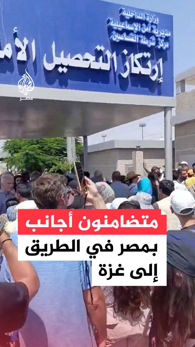 تزامنًا مع تحرك قافلة الصمود.. متضامنون أجانب يصلون مدينة #الإسماعيلية محاولين العبور إلى #سيناء للتضامن مع #غزة