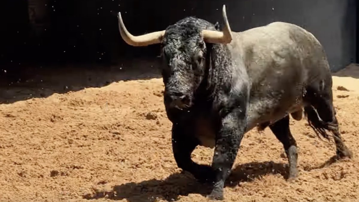 💥¡Los toros de Victorino Martin ya están en #LasVentas! El domingo viviremos la In Memoriam de 𝐕𝐢𝐜𝐭𝐨𝐫𝐢𝐧𝐨 𝐌𝐚𝐫𝐭𝐢́𝐧 𝐀𝐧𝐝𝐫𝐞́𝐬 (19h.) ¡𝗡𝗼 𝗵𝗮𝘆 𝗯𝗶𝗹𝗹𝗲𝘁𝗲𝘀ⵑ