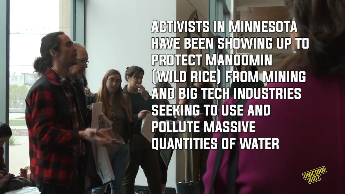 NEW: Pressure Builds to Protect Manoomin (Wild Rice) Activists have been showing up to meetings since the start of the 2025 Minnesota legislative session in an attempt to create legal protections for wild rice. 🧵
