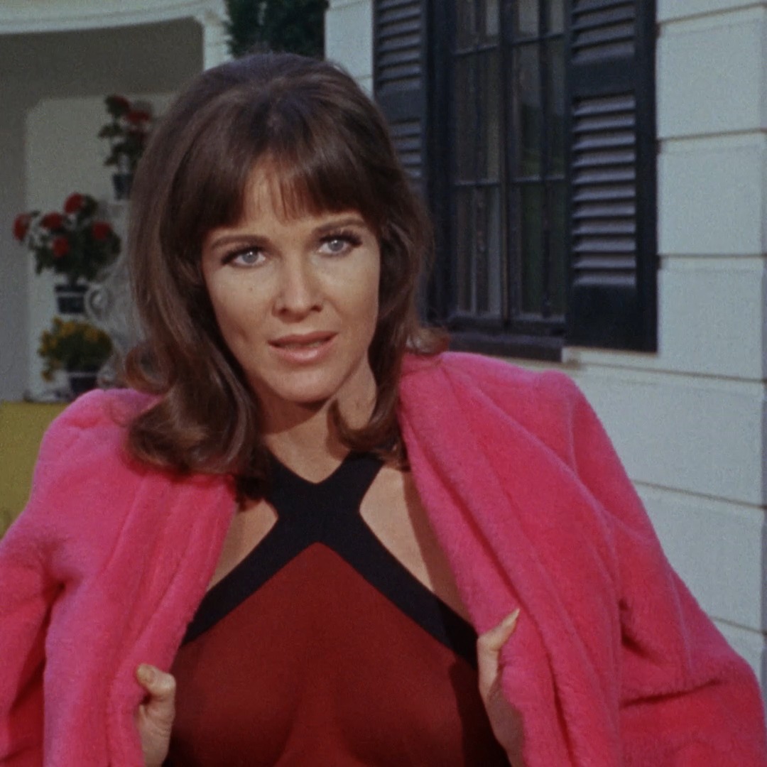 Evening viewing recommendation? On Criterion Channel, watch THE SWIMMER (1968)! Adapted by Frank and Eleanor Perry from the short story by John Cheever, it's an enigmatic journey through the wilds of American suburbia.