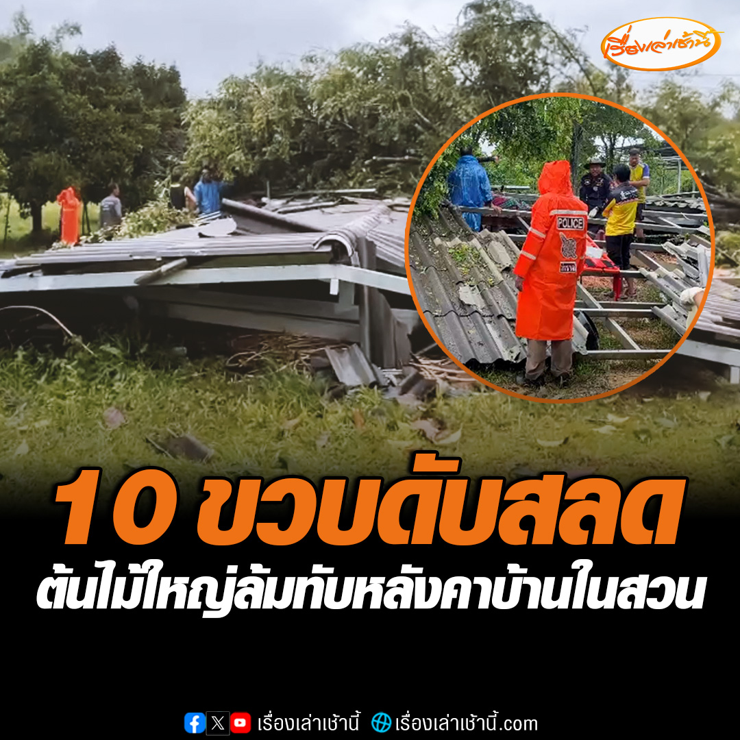 เด็ก 10 ขวบนอนเล่นในบ้านที่สวนผลไม้ พายุฝนพัดต้นไม้ใหญ่ล้มทับ คานเหล็กทับหัวเสียชีวิตในสวนผลไม้ #เรื่องเล่าเช้านี้ #ข่าวช่อง3 #ข่าวภูมิภาค