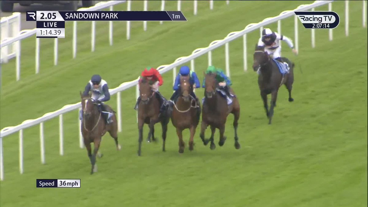 🦁 Urban Lion roars Sandown Park