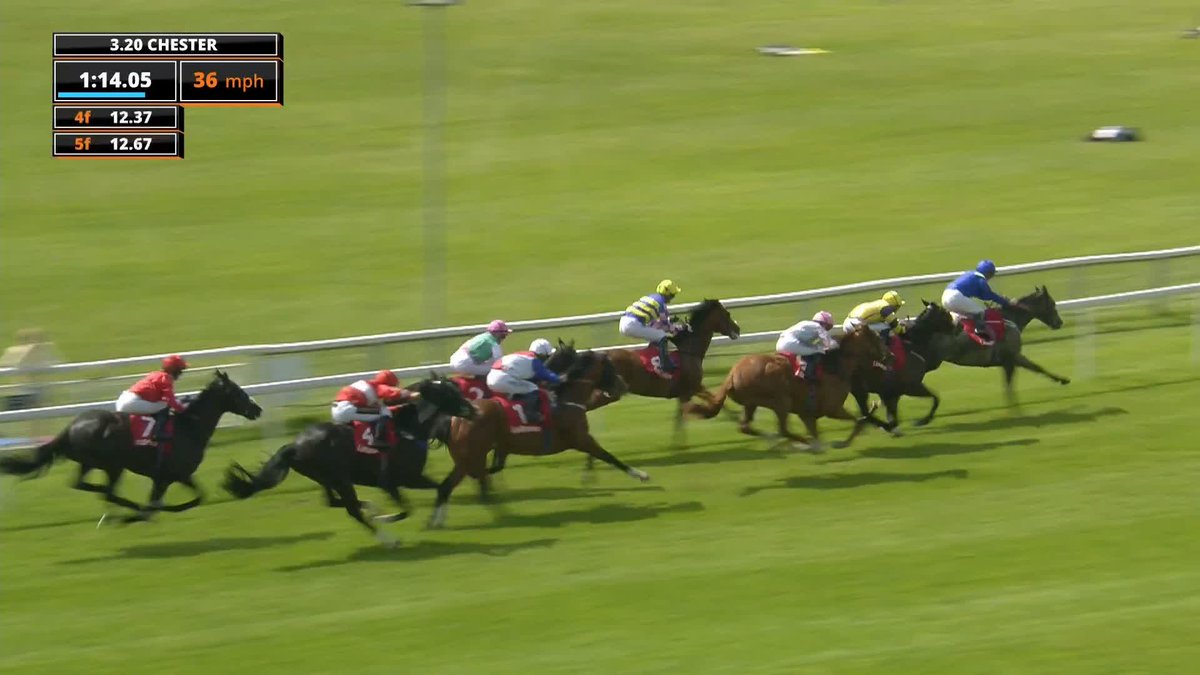 Miami Matrix is the one in the Ladbrokes Best Odds Guaranteed On Racing Handicap 🥇 #ITVRacing | chesterraces | HUGO PALMER AT MANOR HOUSE STABLES | Aiden Brookes