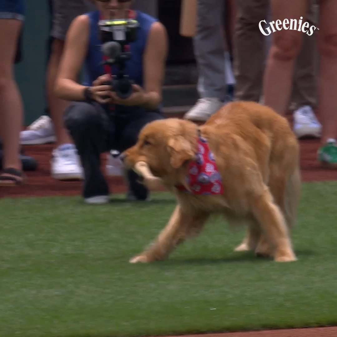 INEFFICIENT ROUTE, BUT BRUCE THE BAT DOG GETS IT DONE 😭🥹