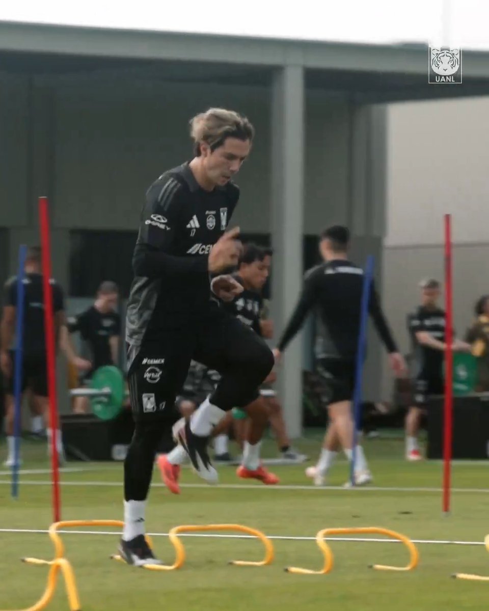 📹 ¡Equipo trabajando fuerte! 💪🏼🐯