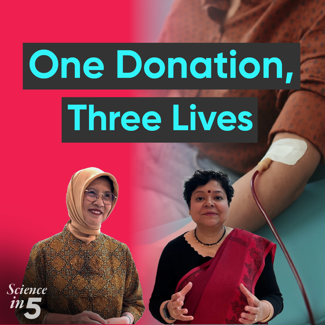 Did you know that you can save three lives in just ten minutes with the gift of your blood? What do countries need to do to have safe blood donation systems ? WHO’s Dr Yuyun Maryuningsih explains all you need to know to donate blood in Science in 5. #GiveBlood