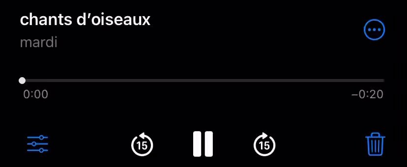 à chaque fois que j’entends des chants d’oiseaux je me souviens que leurs chants sont du dhikr