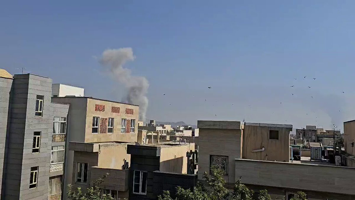«همه رو زده. اونجا اونجا اونجا اونجا»