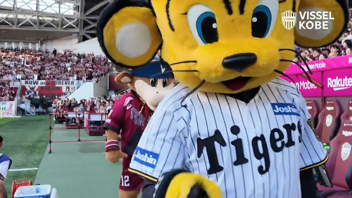 トラッキーとモーヴィの夢の共演！🐯🐮❤ #visselkobe #ヴィッセル神戸 #阪神タイガース