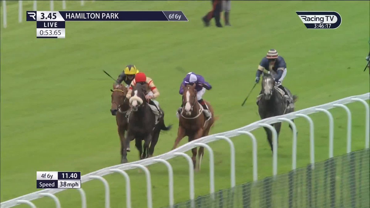 First run ✅ First win ✅ Gesayed (Dark Angel) strikes on debut for Karl Burke and Clifford Lee in the Enter ITV7 For Free British EBF Novice Stakes Hamilton Park 🥇