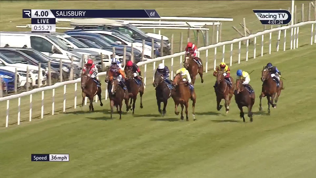 🥇🥇 Successive wins for Italica, who gets up on the line for Richard Kingscote and Tom Dascombe in the Happy 80th Birthday Richard Hannon Snr British EBF Novice Stakes 🎉 Salisbury Racecourse