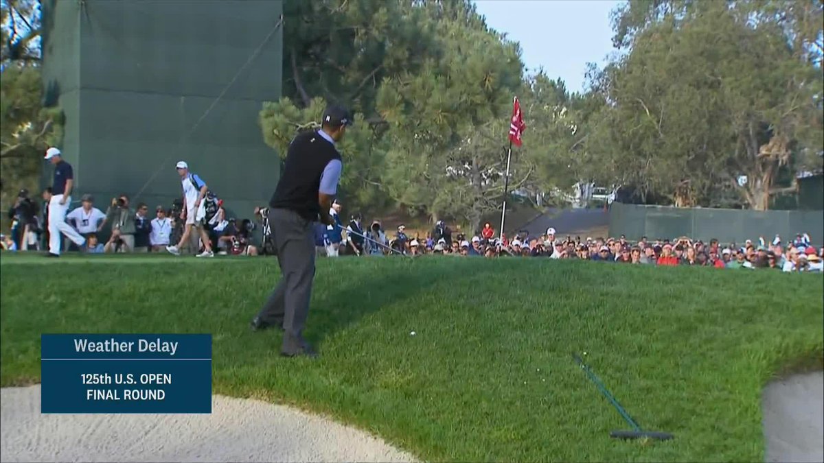 You want one more from the Big Cat? You got it!