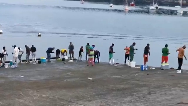 🔴 Ce n'est pas le port d'Abidjan. Ce n'est même pas le port de Marseille. Non. C'est le port de Douarnenez, au plus profond de la Bretagne. 😳 Qui peut encore sérieusement nier l'ampleur du Grand Remplacement ? Qui peut encore nier la catastrophe, l'ignominie et l'infamie de ce génocide par substitution ? Qui peut encore nier qu'il ne s'agit plus du tout "d'immigration" mais d'invasion et de colonisation ? Quand allons-nous enfin sortir de la torpeur "antiraciste" et réactiver notre système immunitaire civilisationnel ? (vidéo de 2023, Elisabeth Louvel,