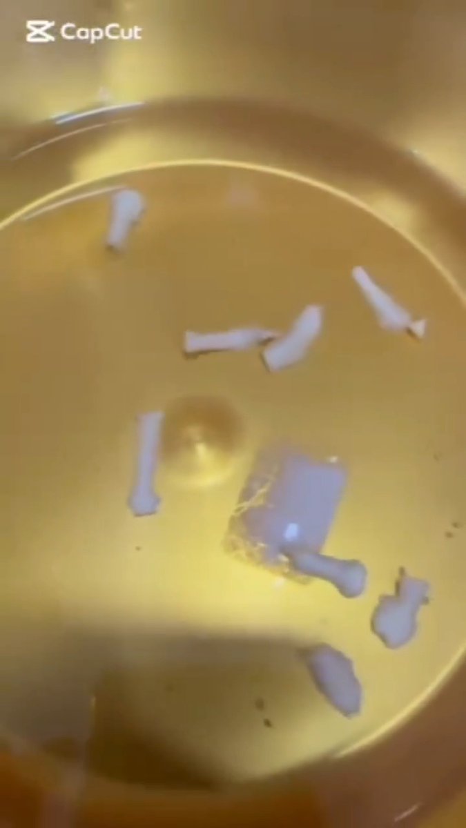 This is why you should never eat pork.