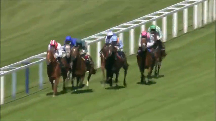 The cheeky look back 👀😅 Kingman put on a spectacular show #OTD 11 years ago in the St James's Palace Stakes 🚀 Who wins today's renewal ❓ #RoyalAscot