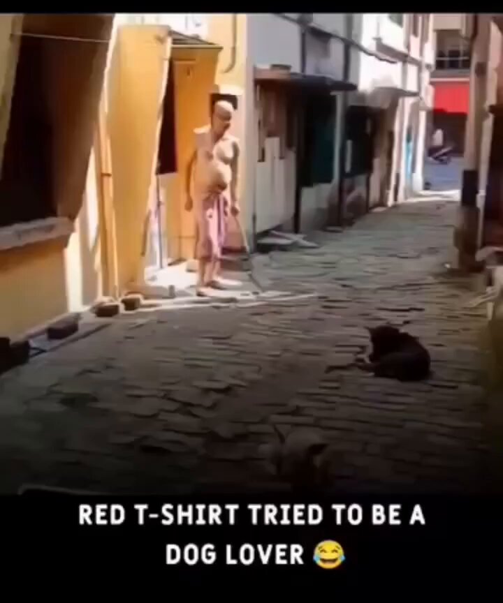 लाल टीशर्ट वाला डॉग लवर था फिर डॉगेश भाई ने सोचा की लाओ इसको बता दूं डॉग लवर का मतलब क्या होता है😂😊😂