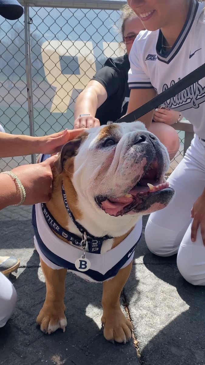 You're the only friend we need @thebutlerblue. Happy National Mascot Day to the best mascot ever. Hope your day is full of treats! 🦴🐶