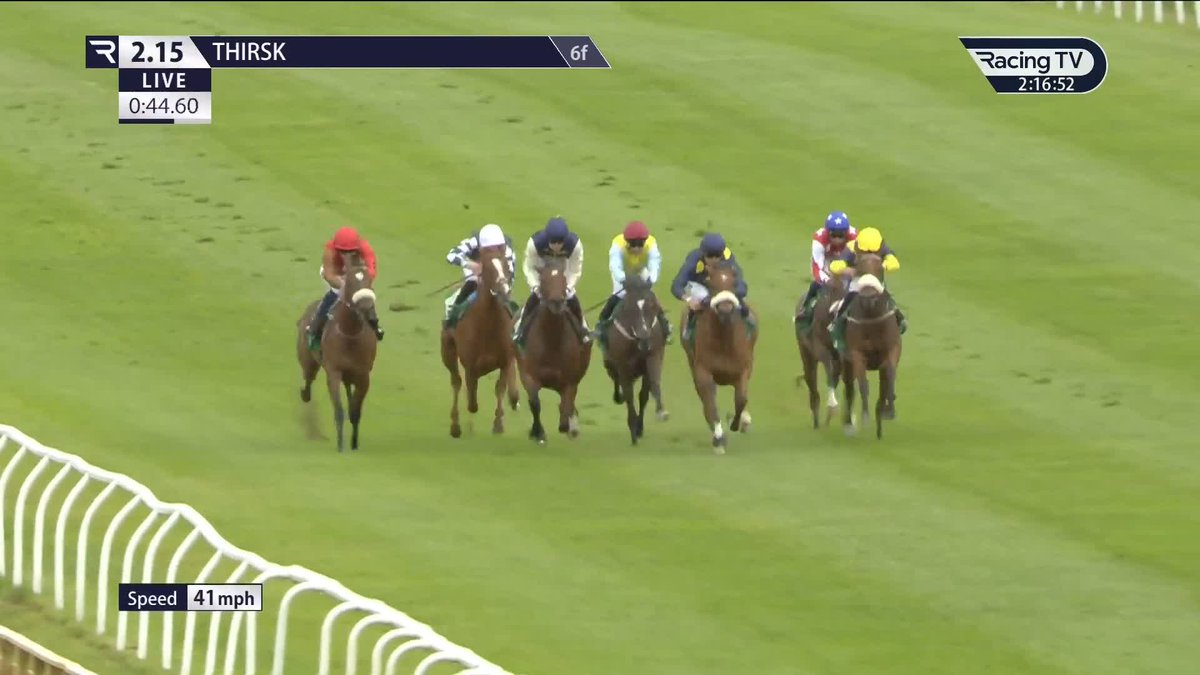 ✅ Winning debut 180,000gns buy Royal Fixation (Palace Pier) scores at the first time of asking @edwalkerracing | OpulenceThoroughbreds | Thirsk Racecourse