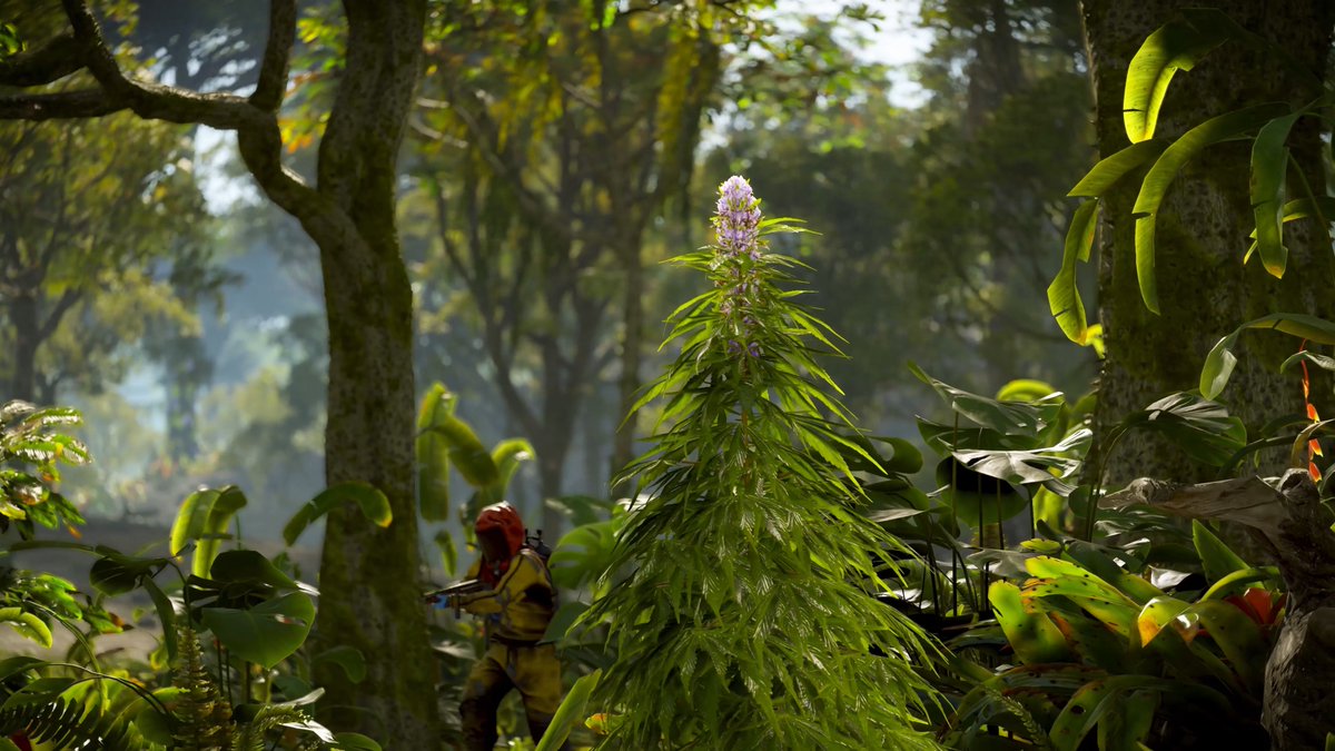 The Jungle Biome is still evolving with new plant life taking root throughout. 🌱🌿🌴 Read more in our DevBlog: