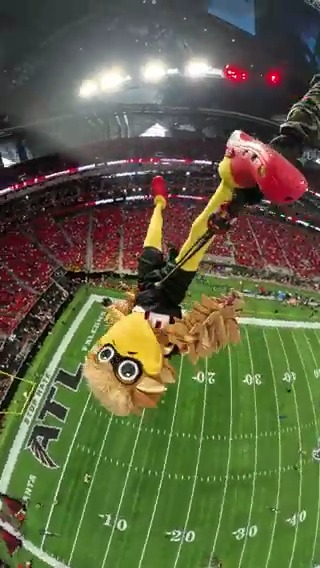 .Freddie Falcon knows no fear 🤣 Happy National Mascot Day!
